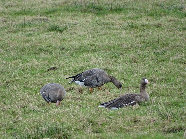 线上活动启 线上活动启