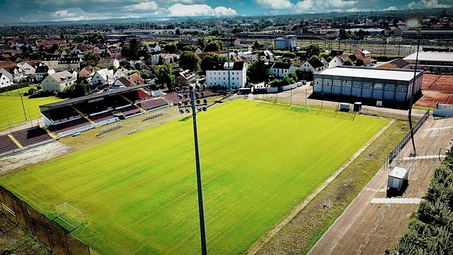 是香港近年 是香港近年