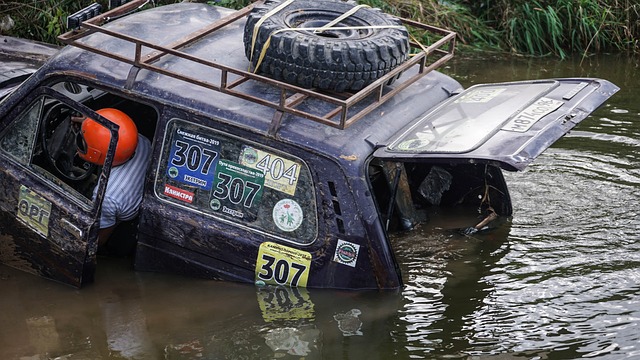 赛迅速发展 赛迅速发展
