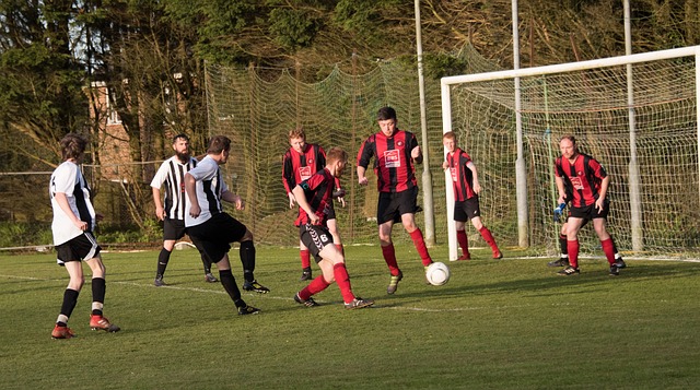 文双剑合璧 文双剑合璧